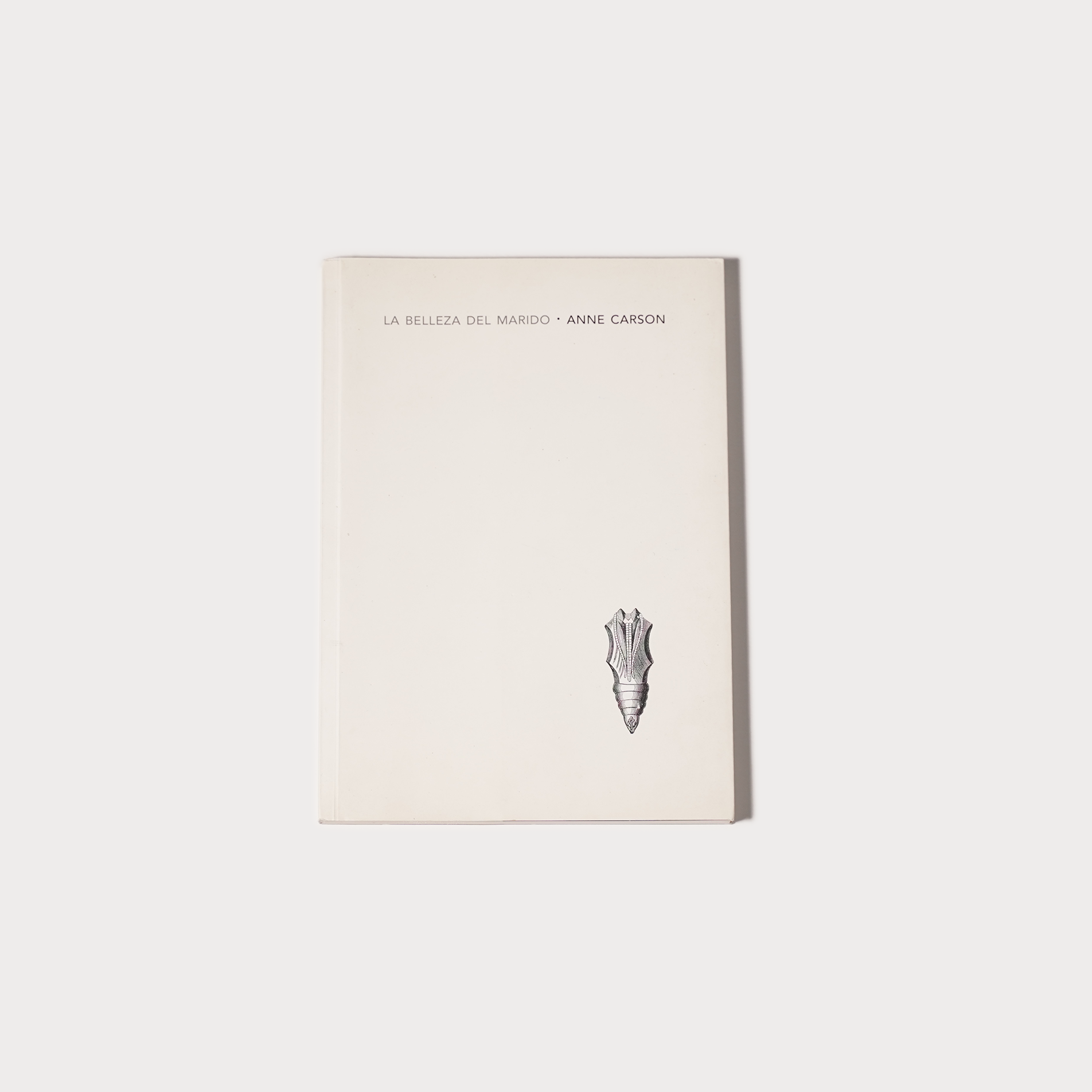 La belleza del marido